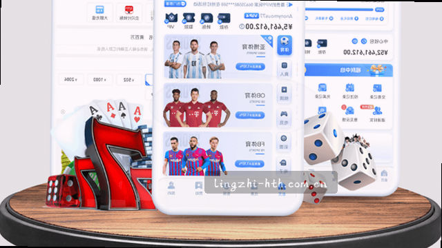 处理流程概览示意图